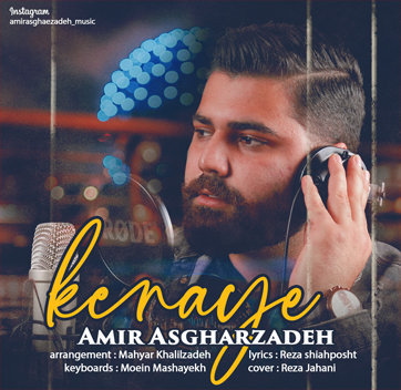 امیر اصغرزاده کنایه